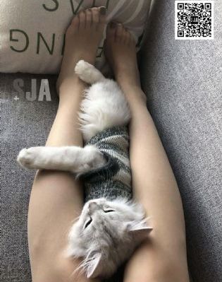 欧美成人动作图片_剧情片迅雷电影在线